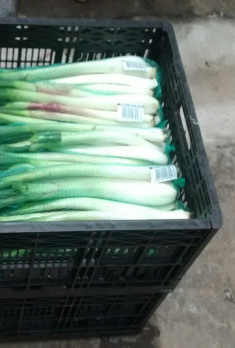 foto 2 bloque 1 proyectos