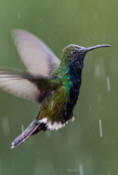 foto 1 bloque 1 proyectos