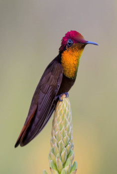 foto 2 bloque 1 proyectos